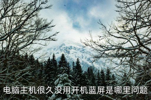 电脑开机没多久蓝屏，电脑开机时间太久没有用出现蓝屏