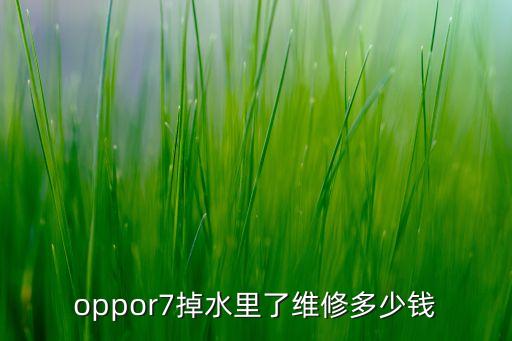 oppor7掉水里了维修多少钱