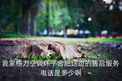 我家格力空调坏了合肥这边的售后服务电话是多少啊