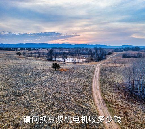 豆浆机马达多少钱换，豆浆机换电机多少钱