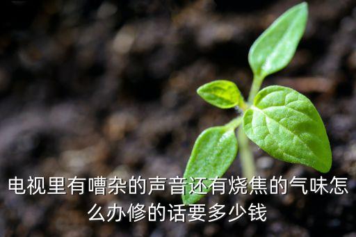 电视里有嘈杂的声音还有烧焦的气味怎么办修的话要多少钱