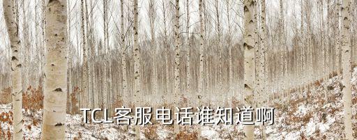 TCL客服电话谁知道啊