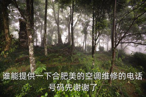 谁能提供一下合肥美的空调维修的电话号码先谢谢了