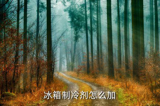 冰柜如何添加制冷剂，冰箱制冷剂怎么加