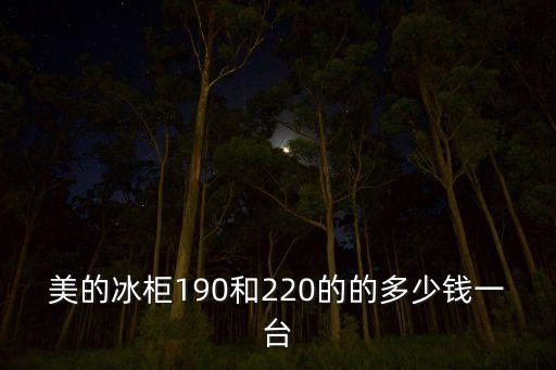 美的冰柜190和220的的多少钱一台