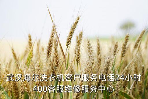 武汉洗衣机维修售后电话是多少钱，武汉市三星洗衣机售后服务的电话是多少
