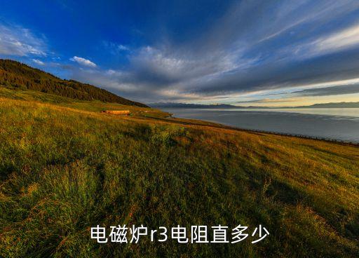 电磁炉r3电阻直多少