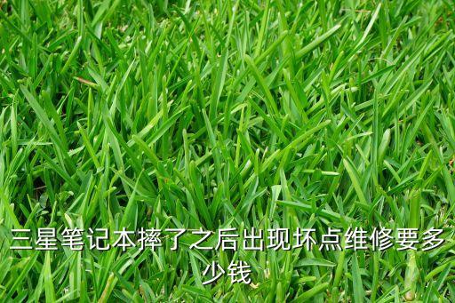 三星电脑维修多少钱，你的三星电脑多少钱修的呢