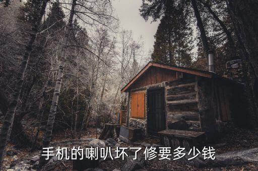 手机修一下喇叭多少钱，手机的喇叭坏了修要多少钱