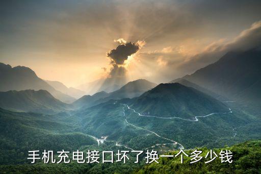 换手机充电接口多少钱，手机充电插孔坏了换一个多少钱