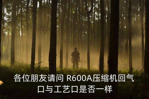r600a压缩机工艺口如何区分，各位朋友请问 R600A压缩机回气口与工艺口是否一样