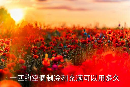 一匹的空调制冷剂充满可以用多久