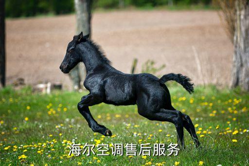 海尔空调西安客服电话是多少钱，西安海尔空调售后