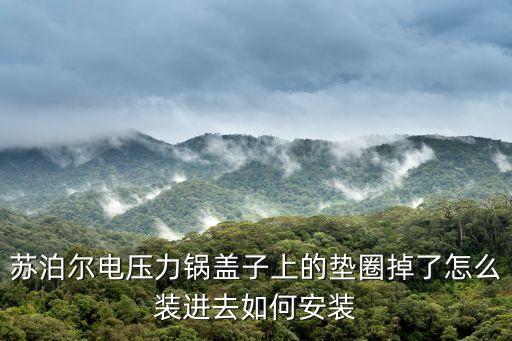 苏泊尔电压力锅盖子上的垫圈掉了怎么装进去如何安装