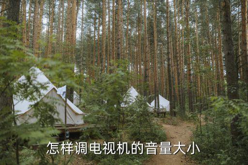 怎样调电视机的音量大小