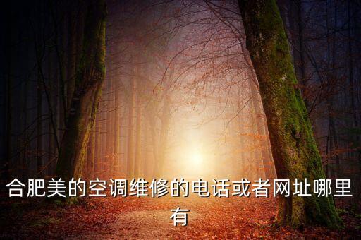 美的空调合肥售后电话号码是多少，谁能提供一下合肥美的空调维修的电话号码先谢谢了