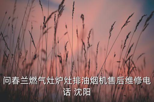 春兰热水器售后维修电话多少，问春兰燃气灶炉灶排油烟机售后维修电话 沈阳