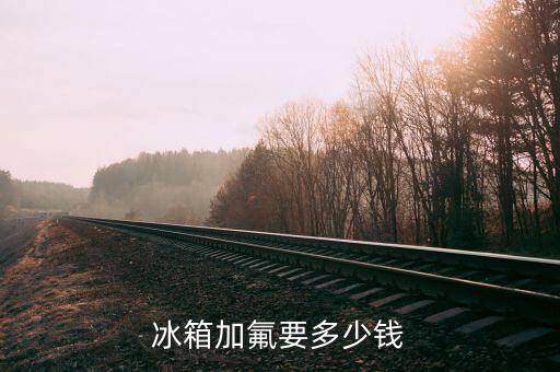 冰箱加氟要多少钱