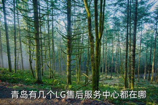 青岛有几个LG售后服务中心都在哪