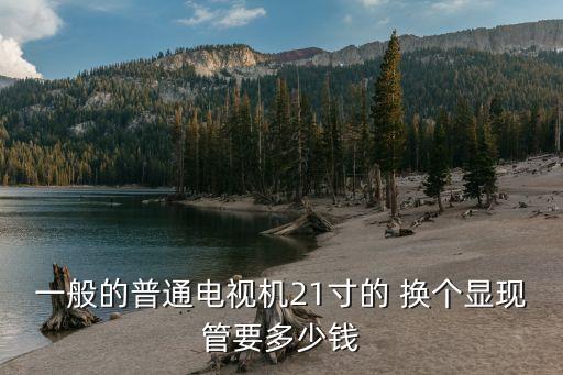 21寸电视机显像管管座多少钱，康佳21英寸电视的显像管大概多少钱