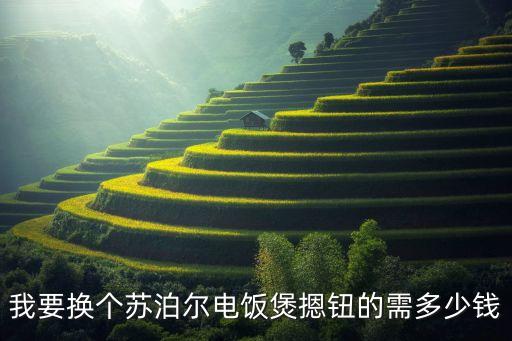 修个电饭煲预约键多少钱，电饭煲的一个按健坏了了拿去修大约要多少钱