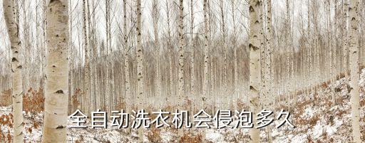 全自动洗衣机会侵泡多久
