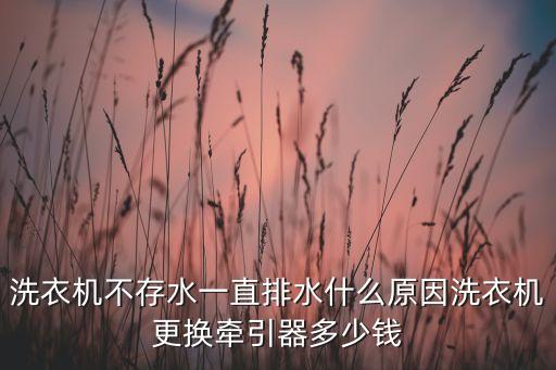 洗衣机不存水一直排水什么原因洗衣机更换牵引器多少钱