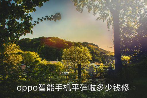 oppo智能手机平碎啦多少钱修