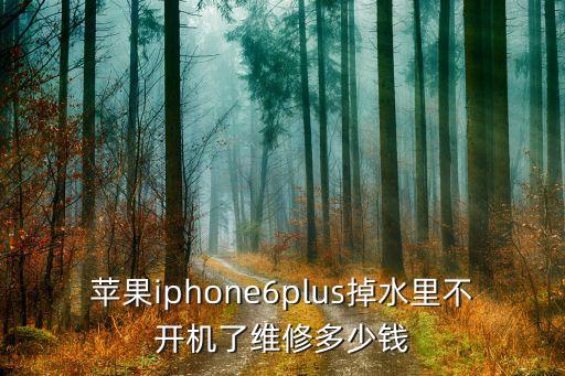 苹果6sp进水修要多少钱，iphone6 plus掉水里维修一般要多少钱