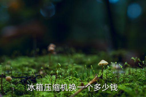 冰箱压缩机换一个多少钱