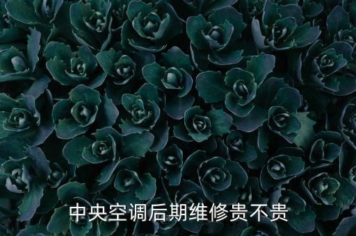 中央空调后期维修贵不贵