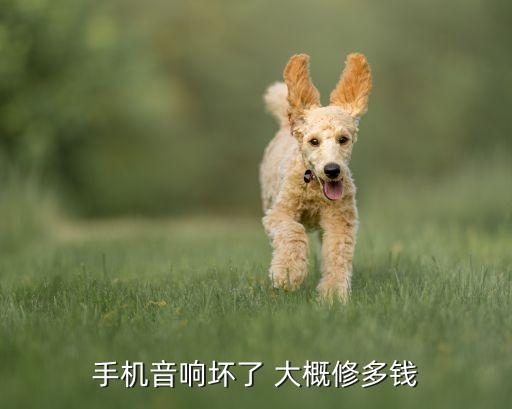 手机音响坏了 大概修多钱