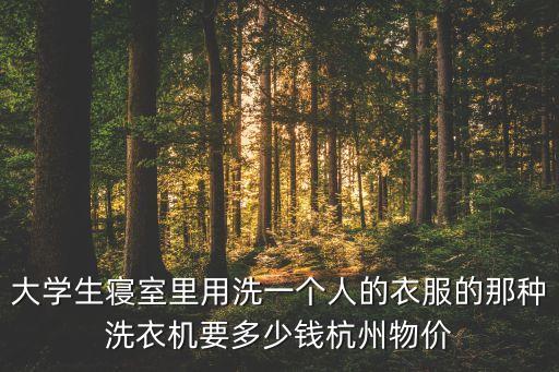 大学生寝室里用洗一个人的衣服的那种洗衣机要多少钱杭州物价