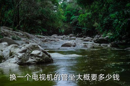 换一个电视机的管坐大概要多少钱