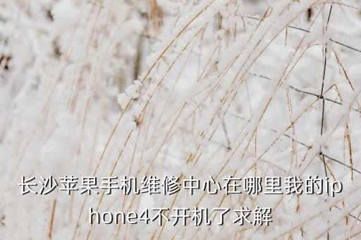 长沙苹果维修售后服务电话号码是多少，长沙苹果手机维修中心在哪里我的iphone4不开机了求解