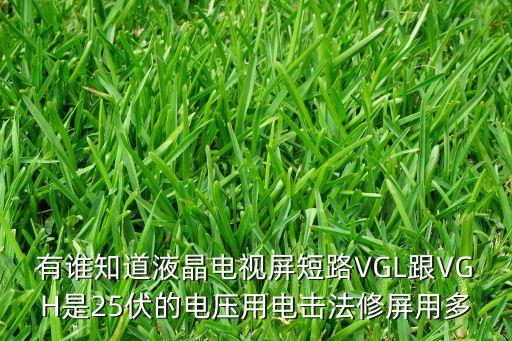 有谁知道液晶电视屏短路VGL跟VGH是25伏的电压用电击法修屏用多