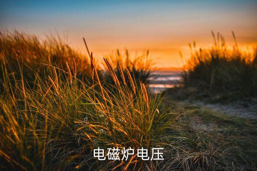 电磁炉310v电压正常工作时降到多少，电磁炉220输入正常但300电压不稳是什么原因
