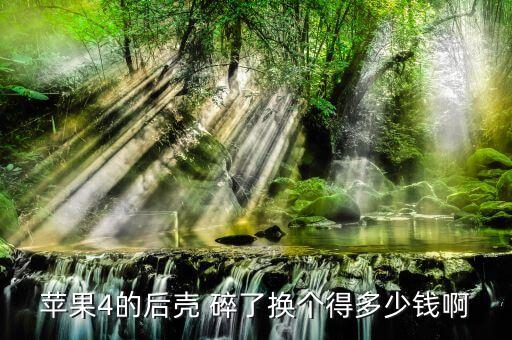 苹果4的后壳 碎了换个得多少钱啊