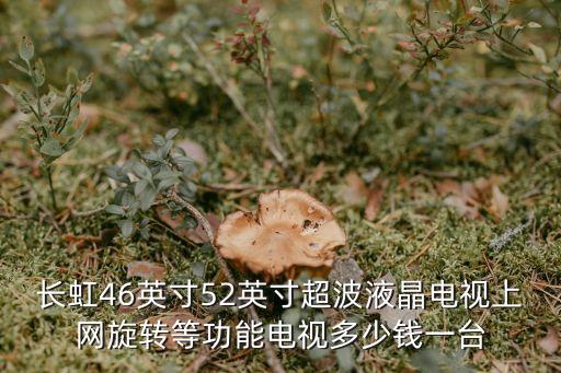 长虹46英寸52英寸超波液晶电视上网旋转等功能电视多少钱一台
