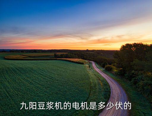 九阳豆浆机的电机是多少伏的