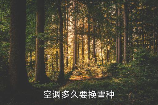 空调多久要换雪种