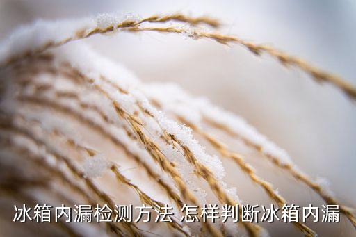 冰箱如何测漏，冰箱漏电用万用表怎么查