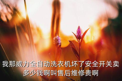 我那威力全自动洗衣机坏了安全开关卖多少钱啊叫售后维修贵啊