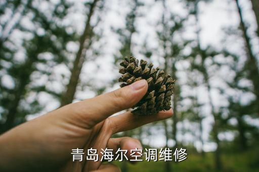 青岛海尔空调维修