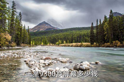 三星9300换屏幕多少钱