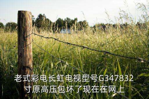老式彩电长虹电视型号G347832寸原高压包坏了现在在网上