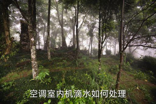 空调室内机滴水如何处理