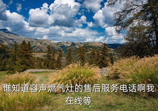 谁知道容声燃气灶的售后服务电话啊我在线等