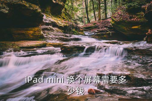 iPad mini 换个屏幕需要多少钱
