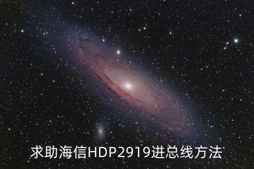求助海信HDP2919进总线方法